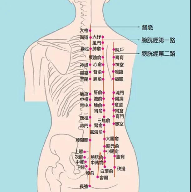 冷熱痛麻酸腫，這是經(jīng)絡(luò)信號在傳遞身體隱患