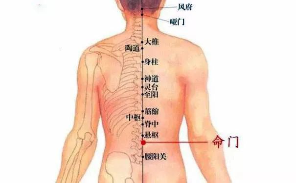 命門火衰影響人體生老病衰？命門穴有何神奇，竟決定生命的元陽盛衰？